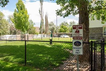 Dog park